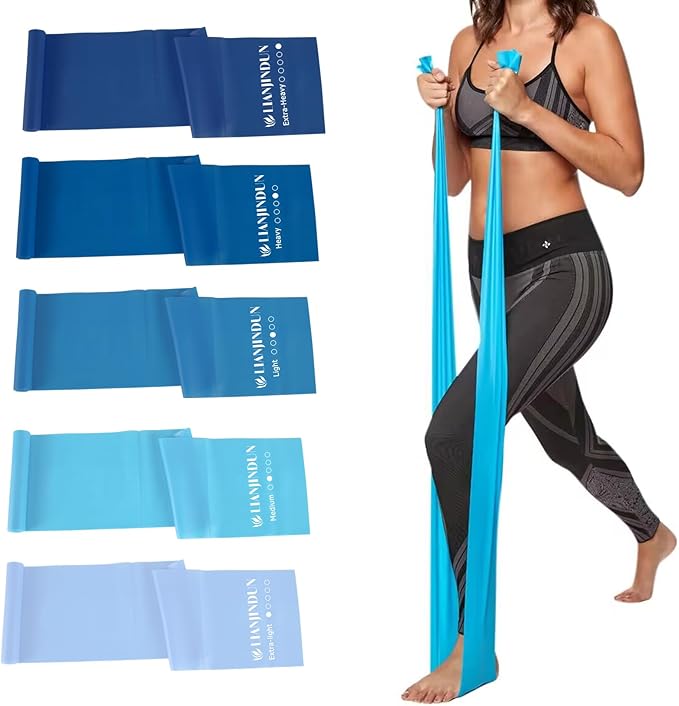 5 Pcs Professional Resistance Bands. Latex-Free, Pilates Band, Work Out Bands, Stretch Bands for Working Out Women or Men, Exercise Bands Set for Pilates, Physical Therapy, Yoga