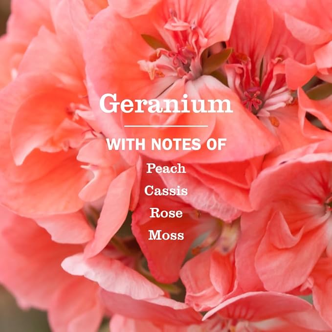 MRS. MEYER'S CLEAN DAY Room Spray, Geranium Scent, 8 Fl Oz Bottle