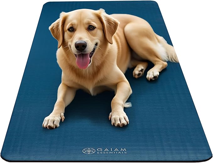 Gaiam Yoga Mat, Pilates & Exercise Mat, Thick 2/5" (10mm) Workout Mat with Easy-Cinch Carrying Strap for Home & Gym Workouts