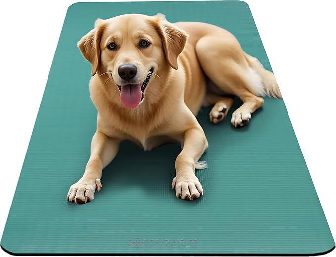 Gaiam Yoga Mat, Pilates & Exercise Mat, Thick 2/5" (10mm) Workout Mat with Easy-Cinch Carrying Strap for Home & Gym Workouts