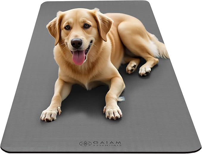 Gaiam Yoga Mat, Pilates & Exercise Mat, Thick 2/5" (10mm) Workout Mat with Easy-Cinch Carrying Strap for Home & Gym Workouts