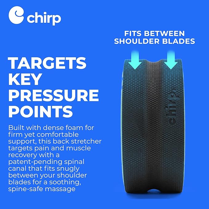 Chirp Wheel Foam Roller - Targeted Back & Neck Pain Relief, Muscle Massage, Trigger Point Therapy, High-Density Foam Tool for Physical Therapy, Stretching & Exercise, 500lbs Capacity, 10-Inch Mint