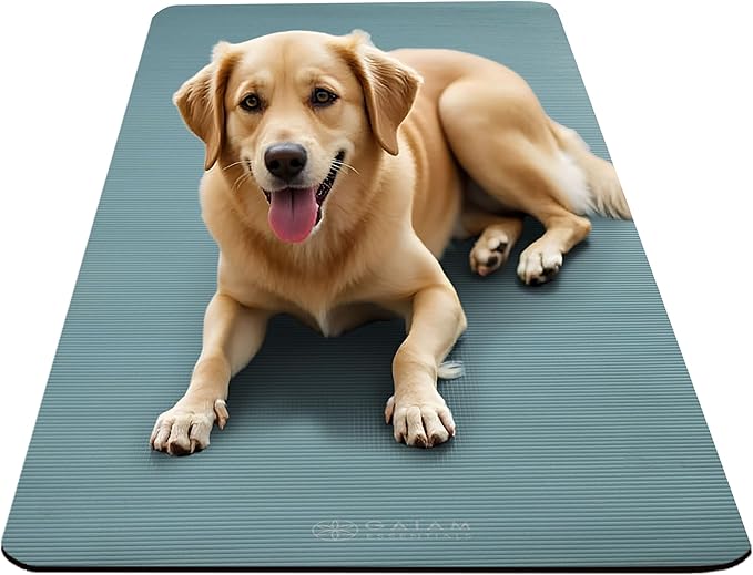 Gaiam Yoga Mat, Pilates & Exercise Mat, Thick 2/5" (10mm) Workout Mat with Easy-Cinch Carrying Strap for Home & Gym Workouts