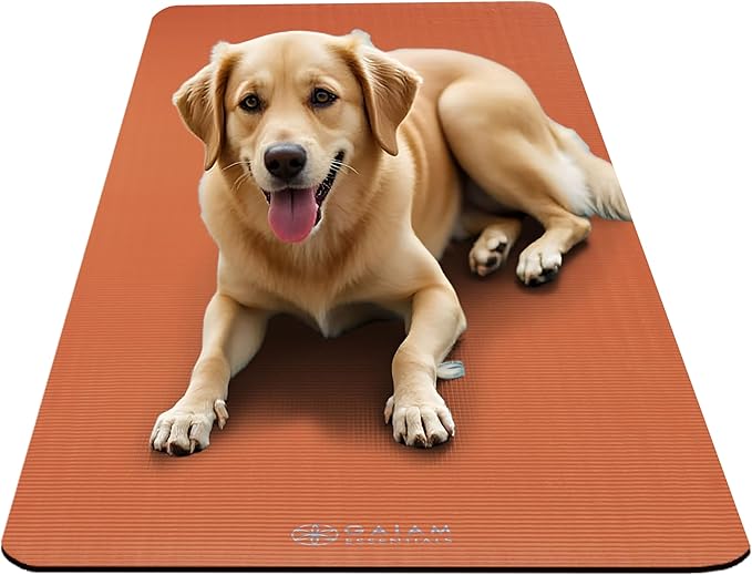 Gaiam Yoga Mat, Pilates & Exercise Mat, Thick 2/5" (10mm) Workout Mat with Easy-Cinch Carrying Strap for Home & Gym Workouts