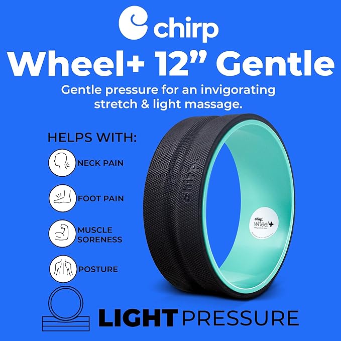 Chirp Wheel Foam Roller - Targeted Back & Neck Pain Relief, Muscle Massage, Trigger Point Therapy, High-Density Foam Tool for Physical Therapy, Stretching & Exercise, 500lbs Capacity, 12-Inch Mint