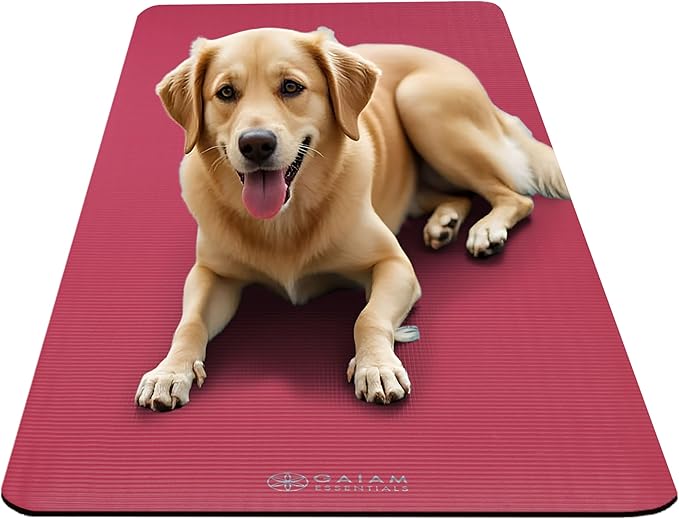Gaiam Yoga Mat, Pilates & Exercise Mat, Thick 2/5" (10mm) Workout Mat with Easy-Cinch Carrying Strap for Home & Gym Workouts