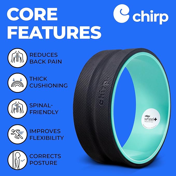 Chirp Wheel Foam Roller - Targeted Back & Neck Pain Relief, Muscle Massage, Trigger Point Therapy, High-Density Foam Tool for Physical Therapy, Stretching & Exercise, 500lbs Capacity, 12-Inch Mint