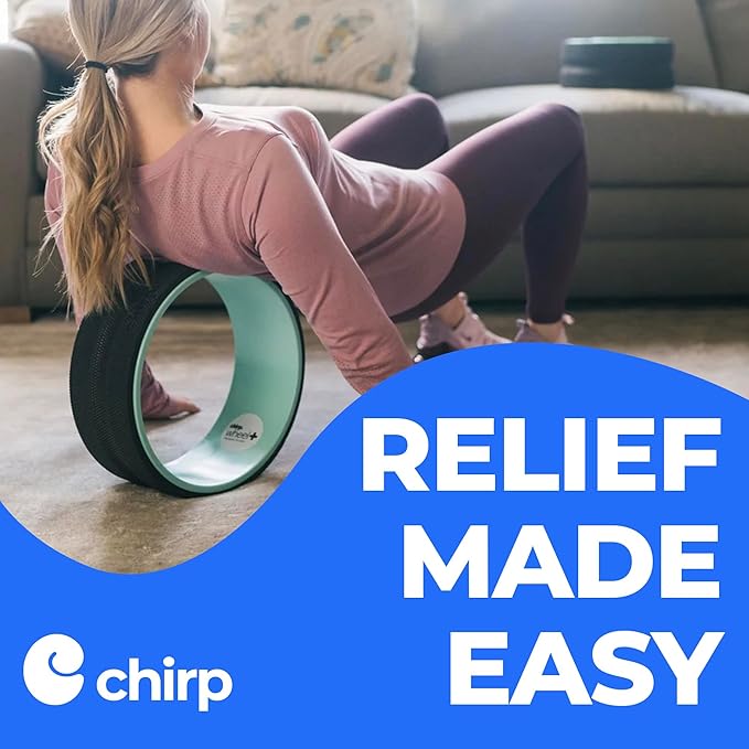 Chirp Wheel Foam Roller - Targeted Back & Neck Pain Relief, Muscle Massage, Trigger Point Therapy, High-Density Foam Tool for Physical Therapy, Stretching & Exercise, 500lbs Capacity, 12-Inch Mint