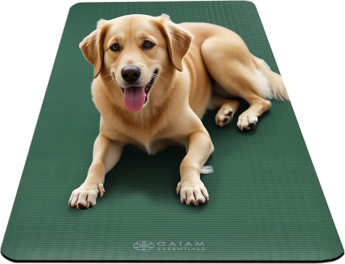 Gaiam Yoga Mat, Pilates & Exercise Mat, Thick 2/5" (10mm) Workout Mat with Easy-Cinch Carrying Strap for Home & Gym Workouts