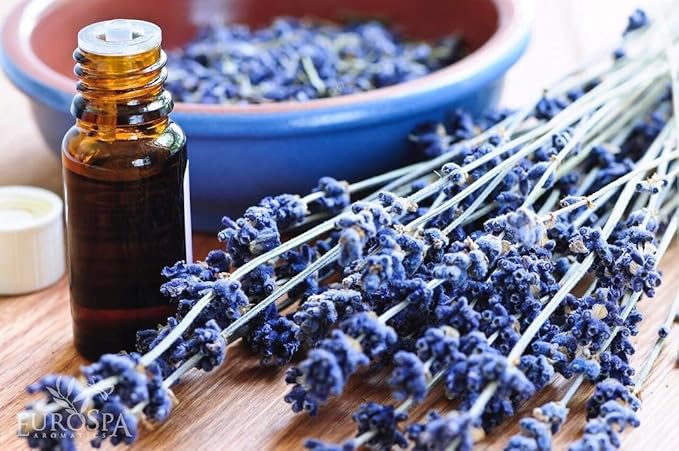 EuroSpa Aromatics Lavender Infused Pure Eucalyptus Oil Yoga Mat Cleaner & Deodorizer, Plant-Derived- Premium Aromatherapeutic & Relaxing Essential Oil Spray - 2oz