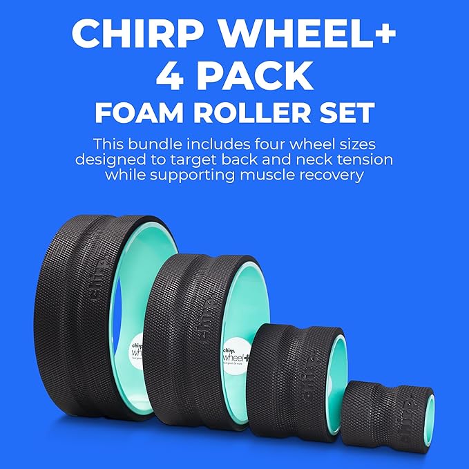 Chirp Wheel Foam Roller – Targeted Back & Neck Relief, Lumbar Spine Stretcher, Spinal Decompression Back Stretcher, Massage Roller with Density Foam for Physical Therapy, Supports 500lbs, 4-Pack Mint