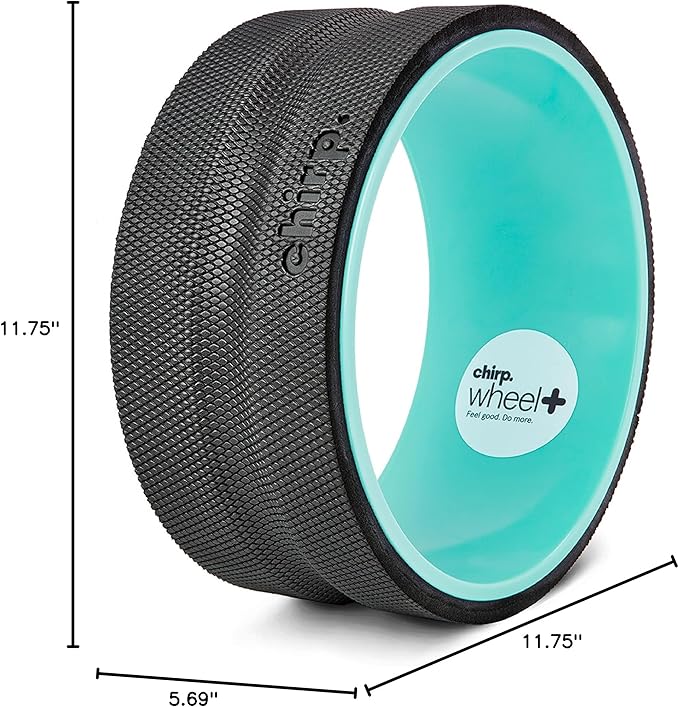 Chirp Wheel Foam Roller - Targeted Back & Neck Pain Relief, Muscle Massage, Trigger Point Therapy, High-Density Foam Tool for Physical Therapy, Stretching & Exercise, 500lbs Capacity, 10-Inch Mint